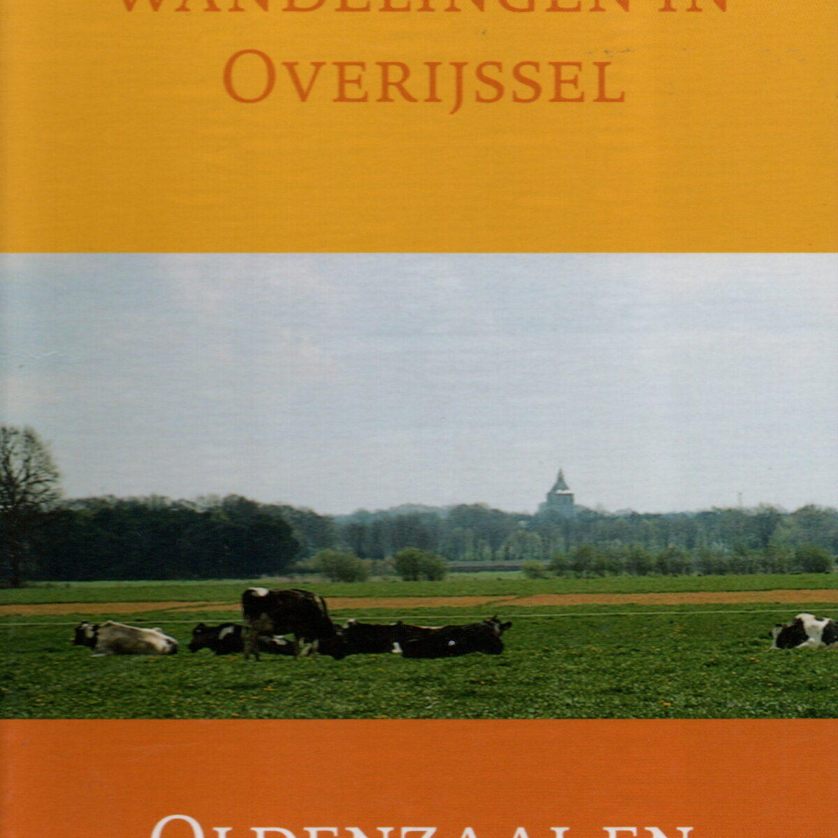 Literaire wandelingen in Overijssel - Oldenzaal en Noordoost-Twente -