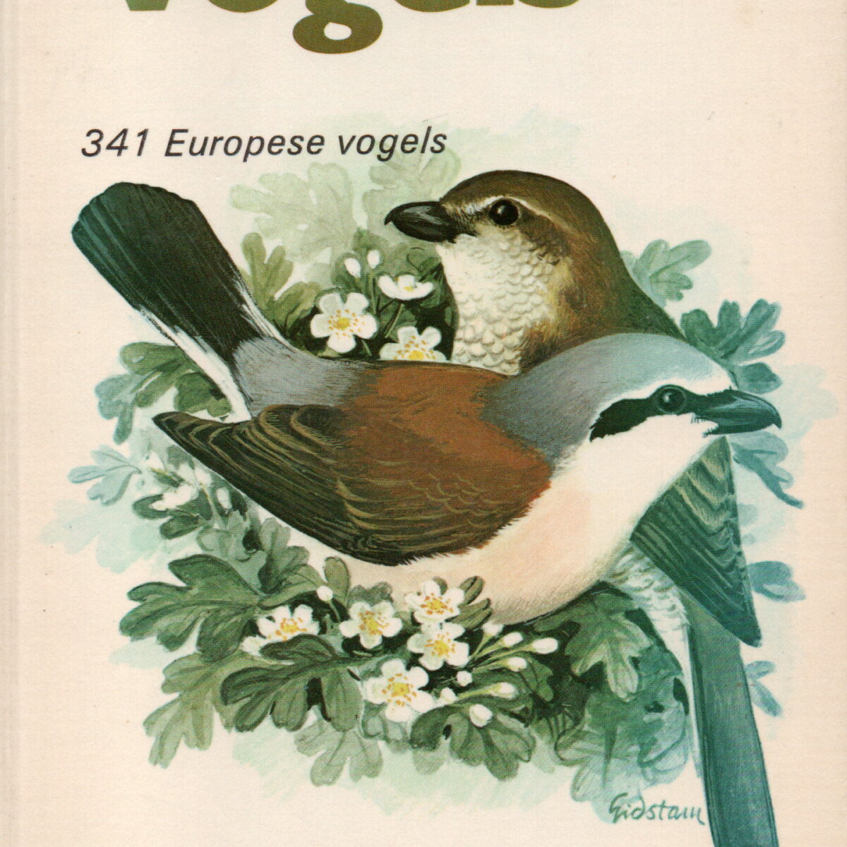 Vogels - 341 Europese vogels -