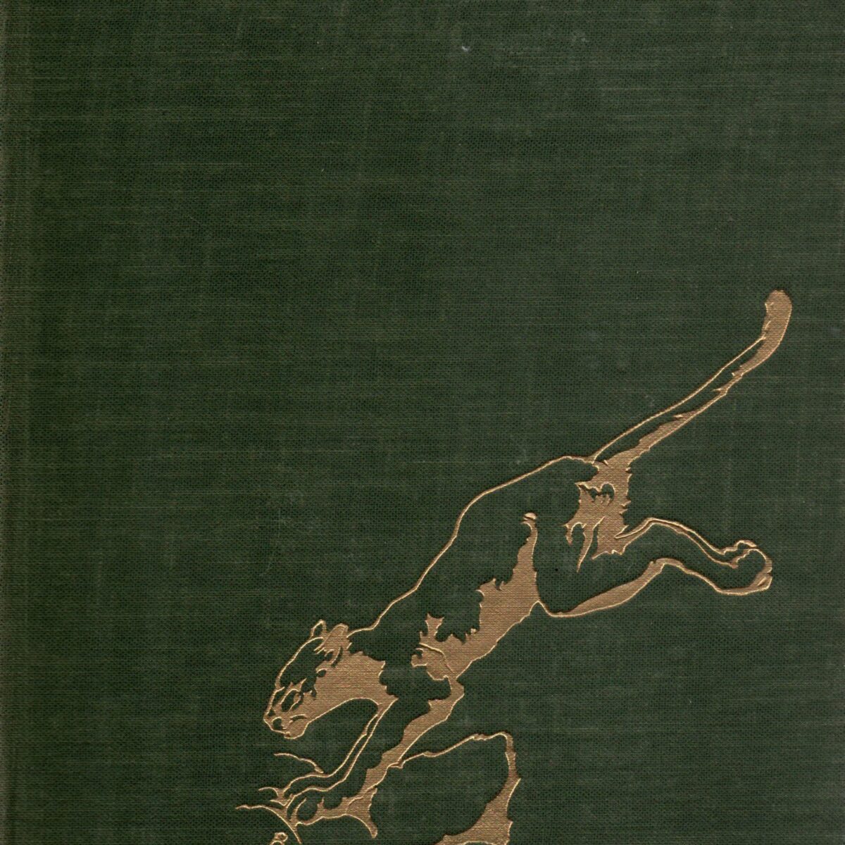 Met een luipaard op schoot - Vreedzame ontmoetingen met wilde dieren en mensen -