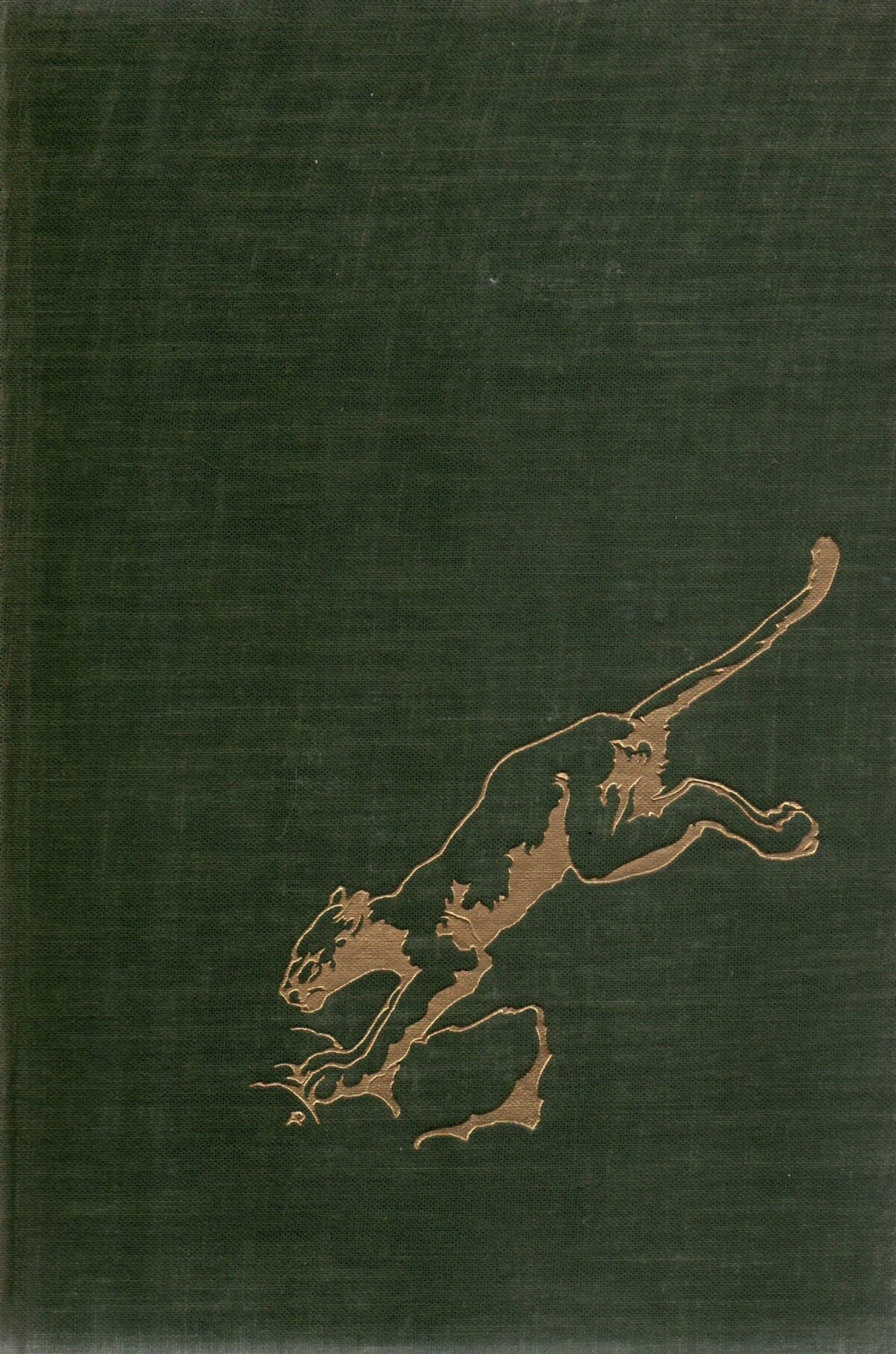 Met een luipaard op schoot - Vreedzame ontmoetingen met wilde dieren en mensen -