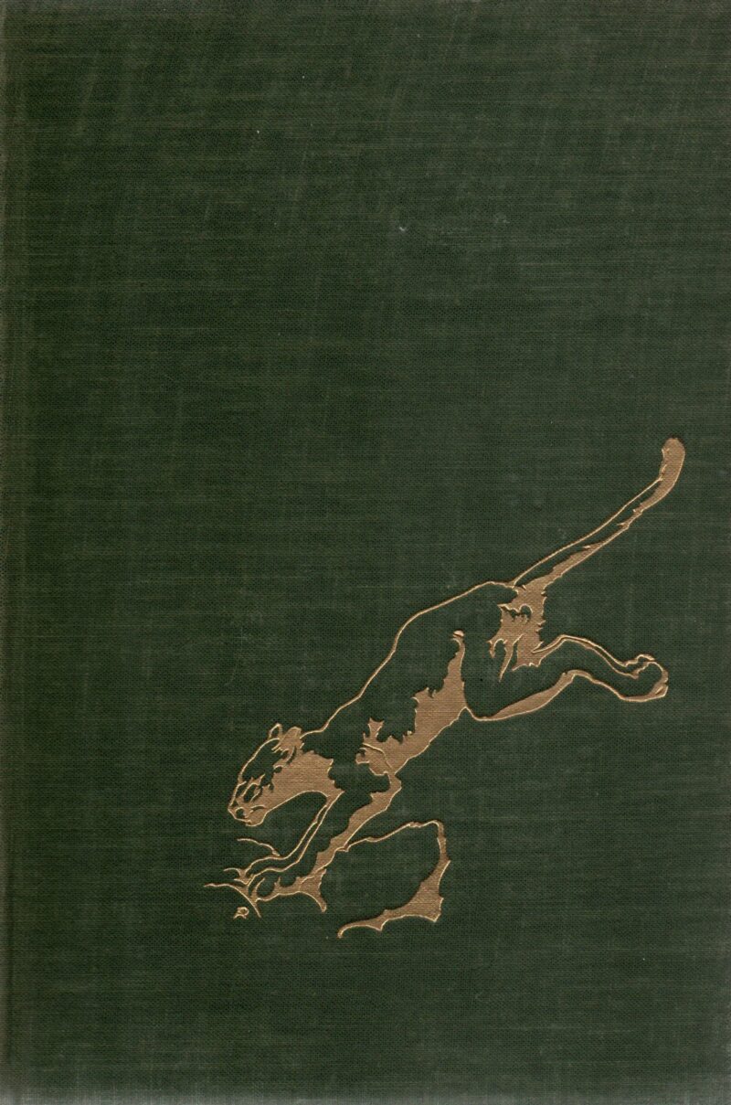 Met een luipaard op schoot - Vreedzame ontmoetingen met wilde dieren en mensen -