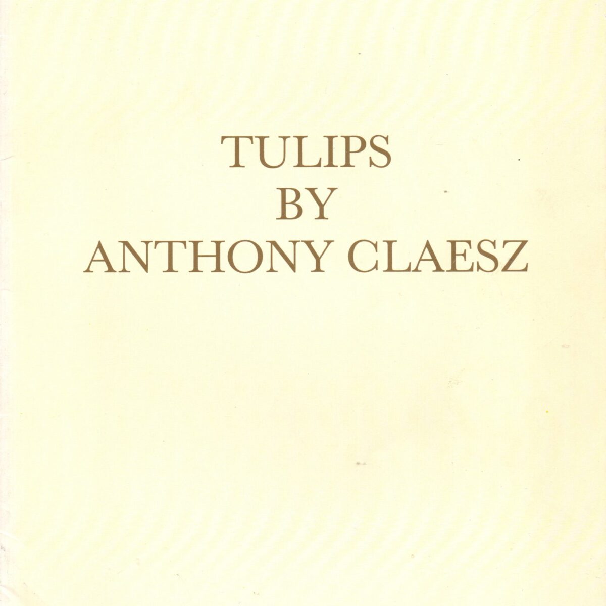 Tulips by Anthony Claesz