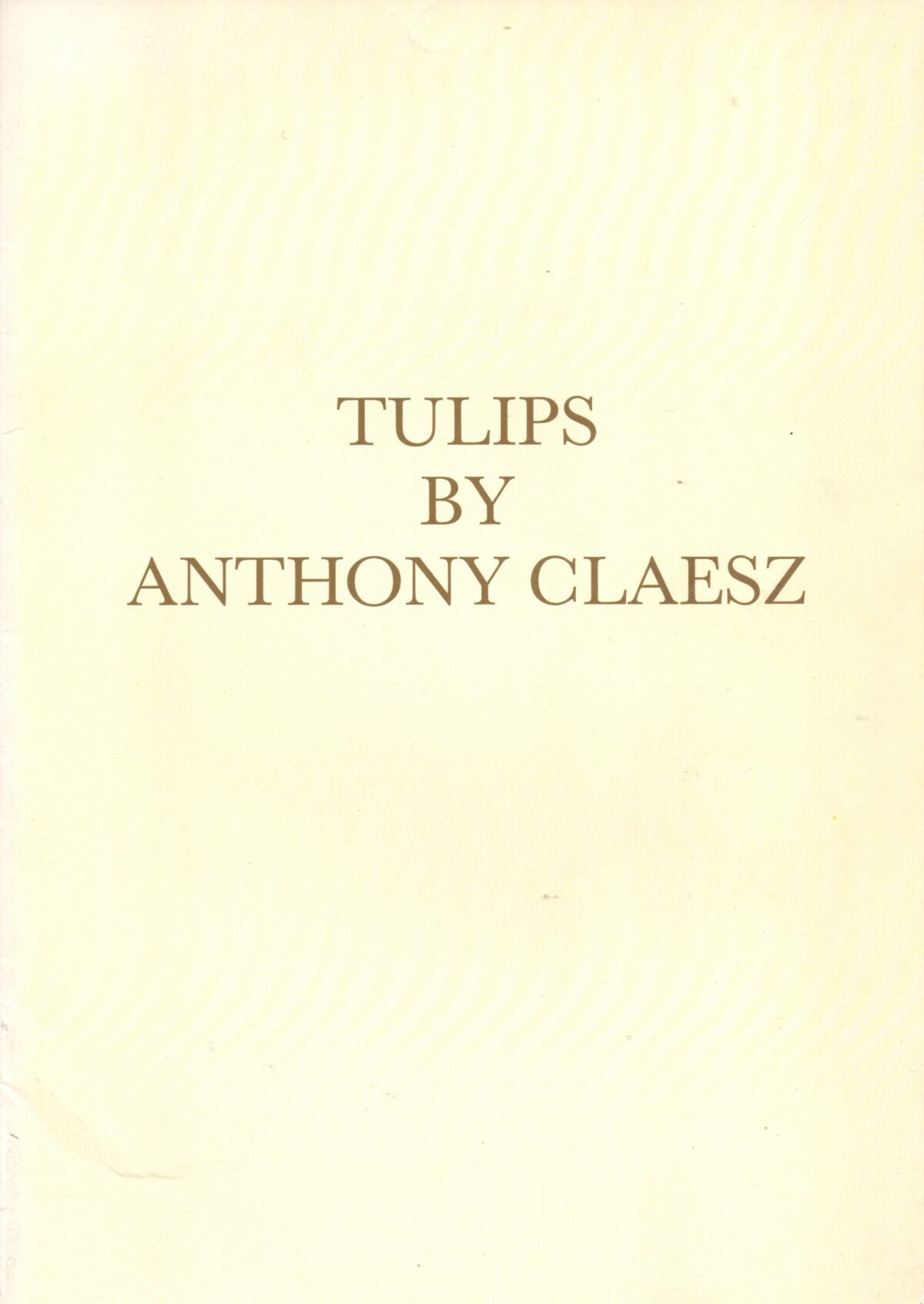 Tulips by Anthony Claesz