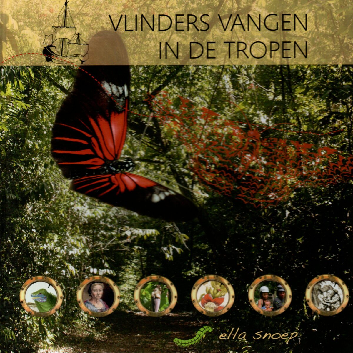 Vlinders vangen in de tropen