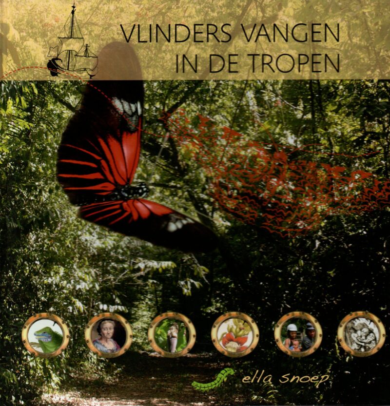 Vlinders vangen in de tropen