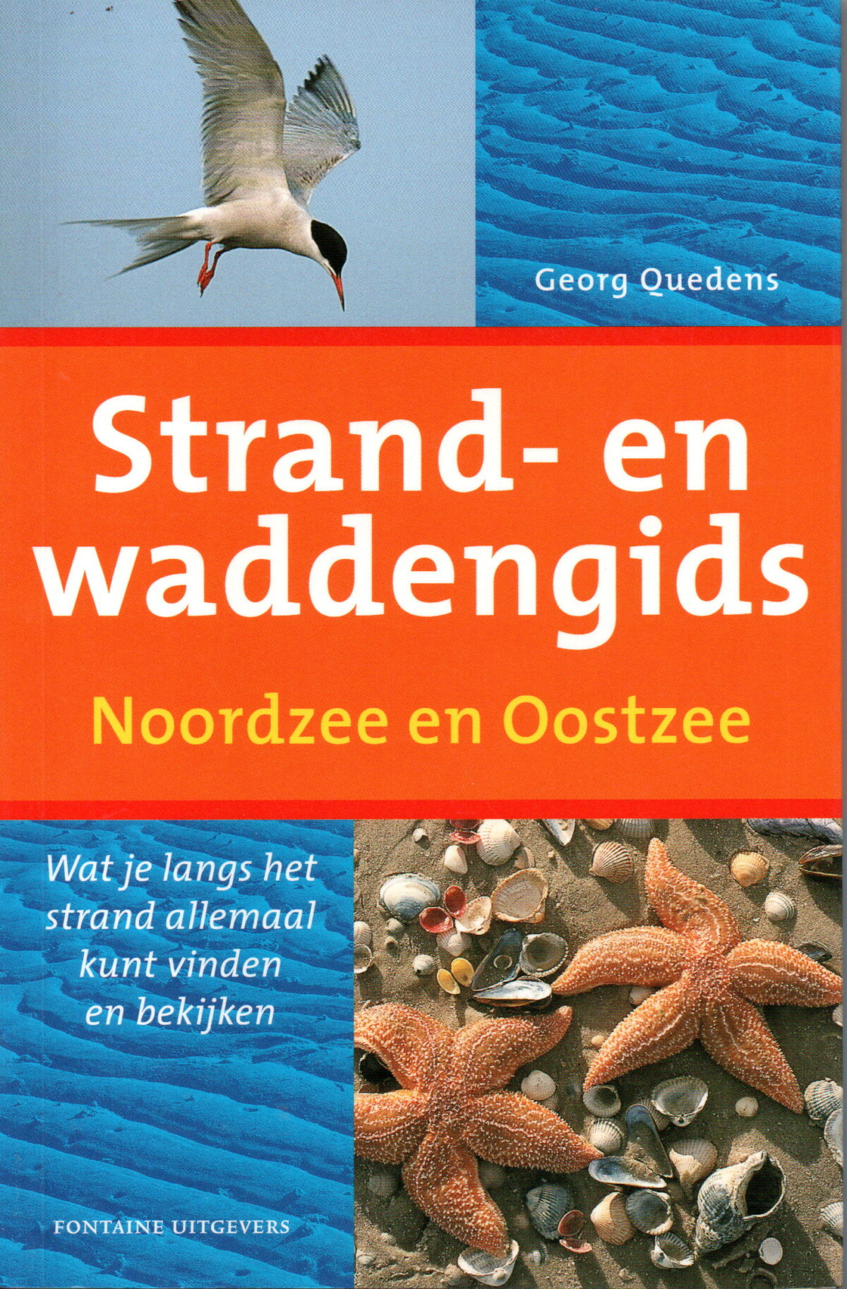 Strand- en waddengids - Noordzee en Oostzee - Wat je langs het strand allemaal kunt vinden en bekijken -