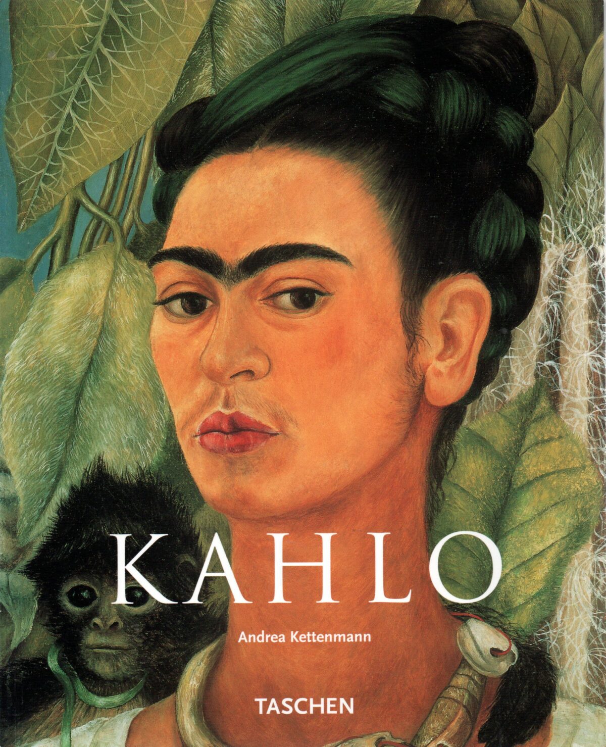 Frida Kahlo - 1907-1954 - Leed en hartstocht -
