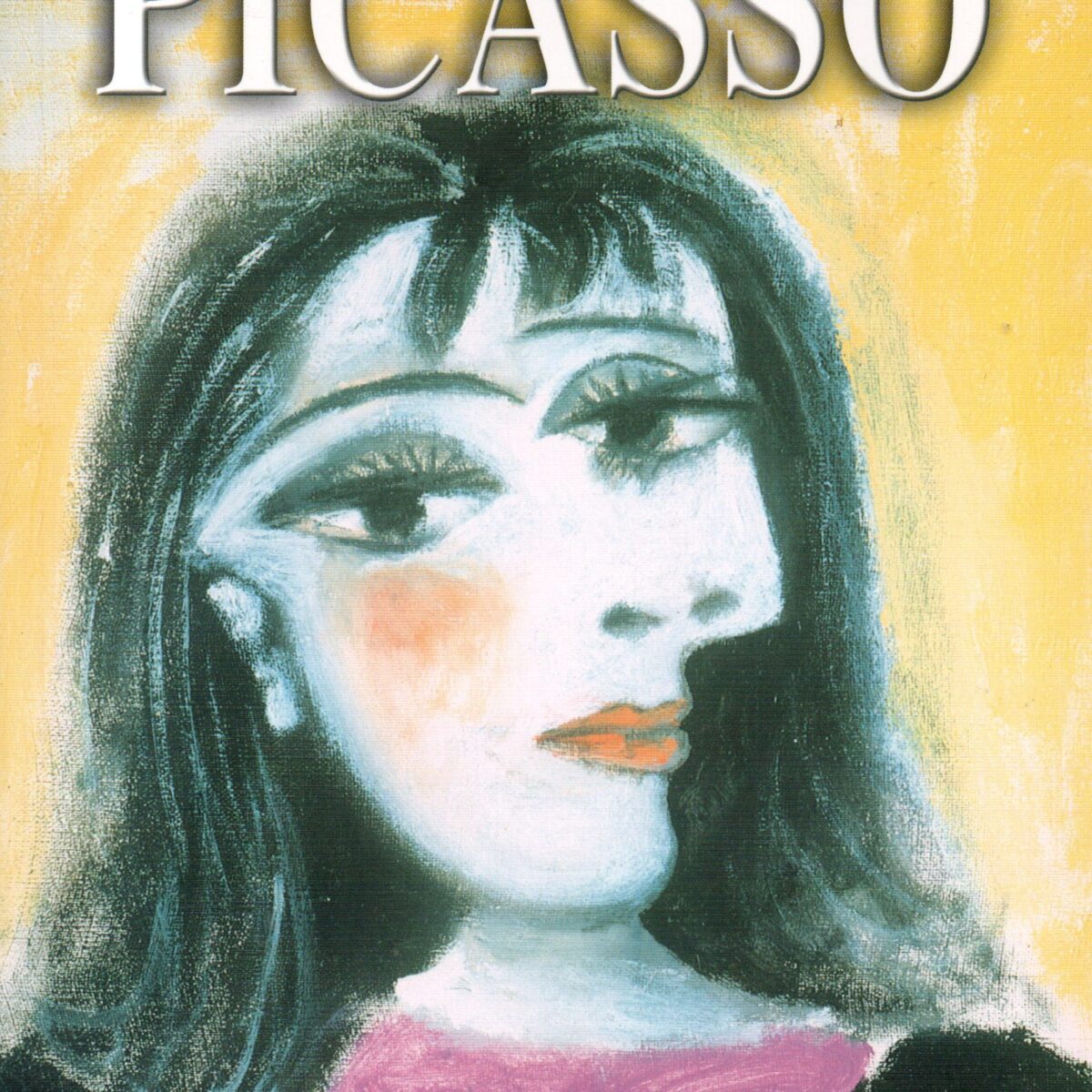 Schildpad Kunstboekjes: Picasso - Breken met de regels van de kunst -