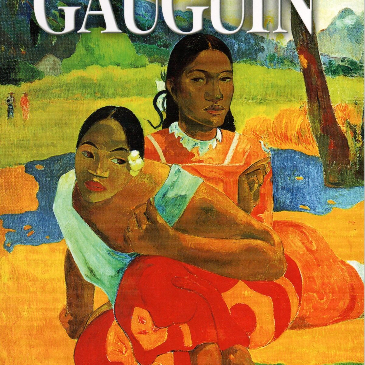 Schildpad Kunstboekjes: Gauguin - Vlucht naar de Hof van Eden -