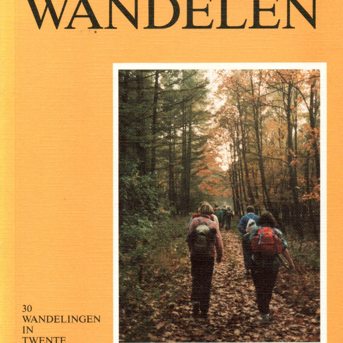 Het hele jaar door Wandelen - 30 wandelingen in Twente - met Hans van Paridon -