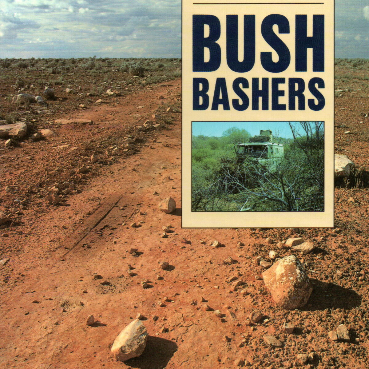 Bush bashers