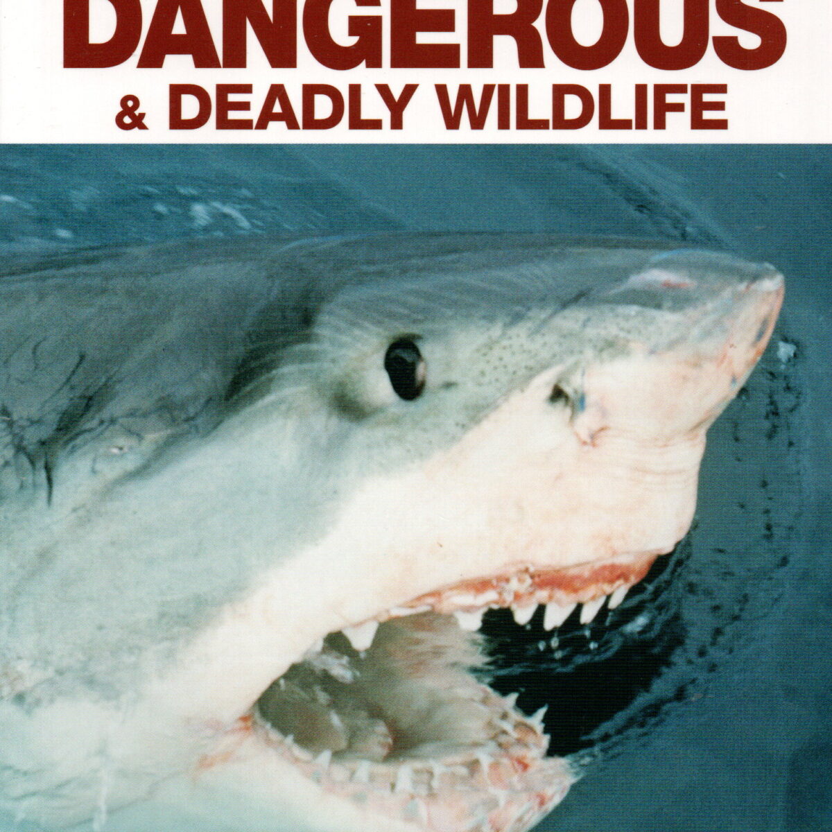 Dangerous & Deadly Wildlife - Identification, Habitat, Behaviour, Danger to Humans -