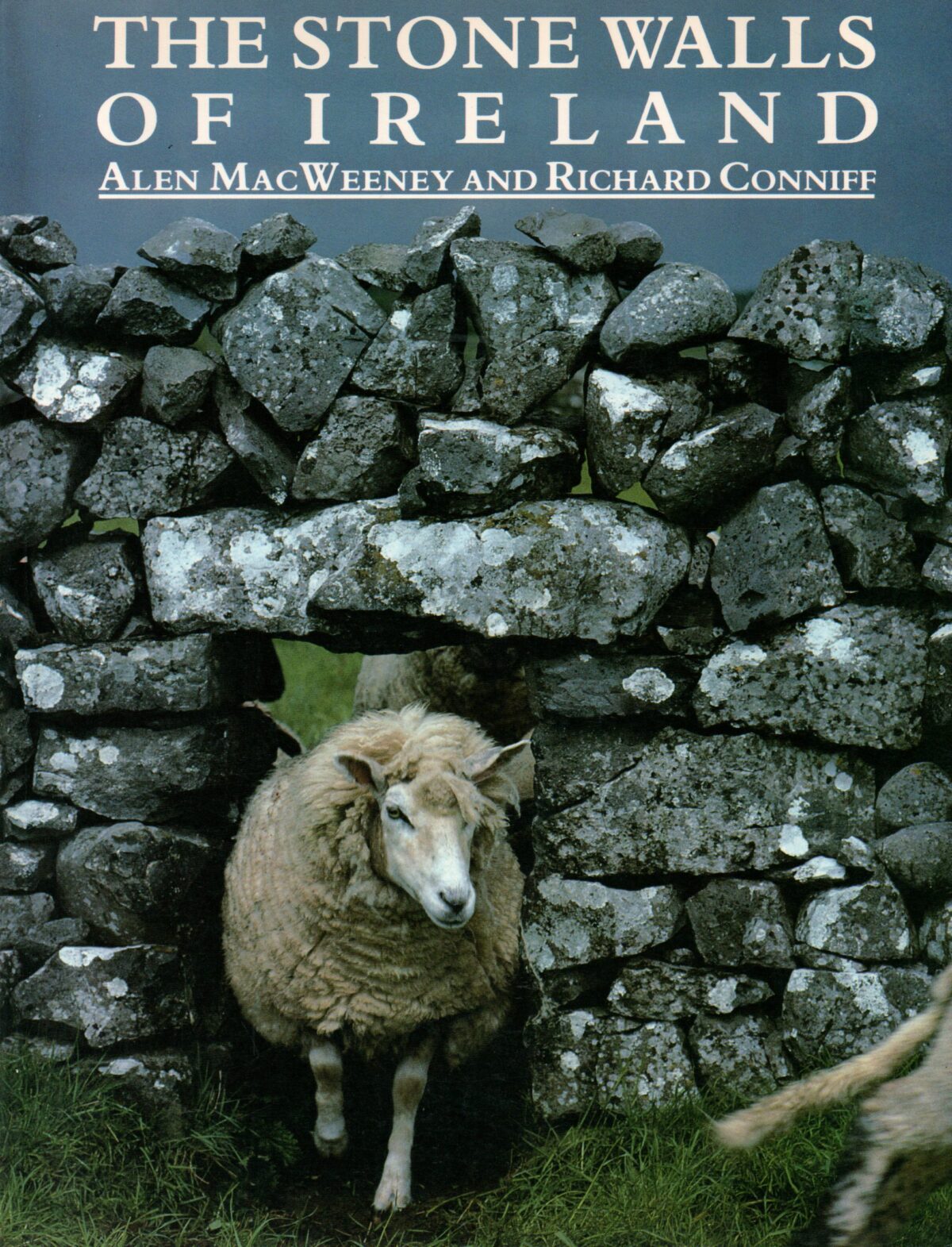 The Stone Walls of Ireland