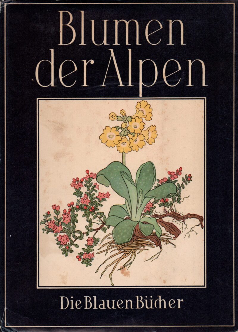 Blumen der Alpen