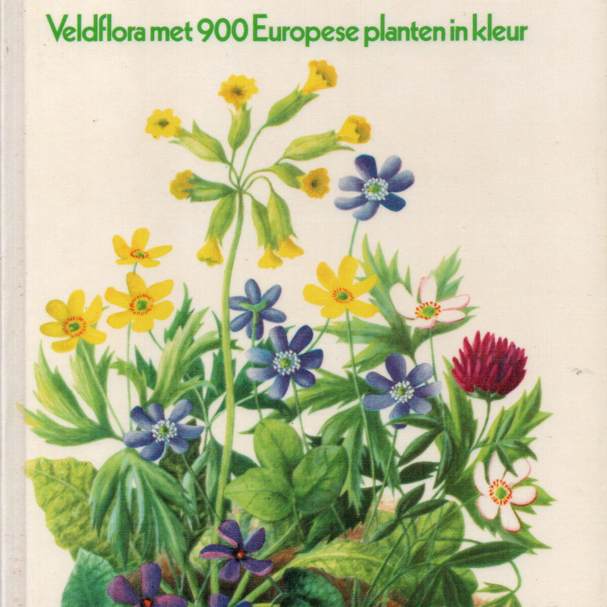 Elseviers Plantengids - Veldflora met 900 Europese planten in kleur -