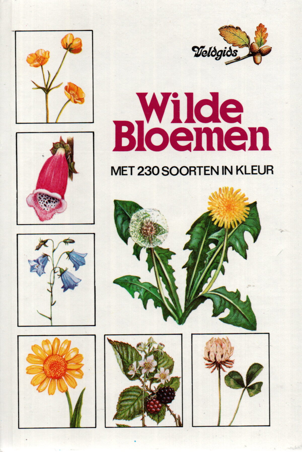 Wilde bloemen - veldgids - met 230 soorten in kleur -
