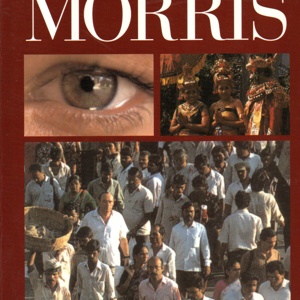 Het blote oog - Reisverhalen -