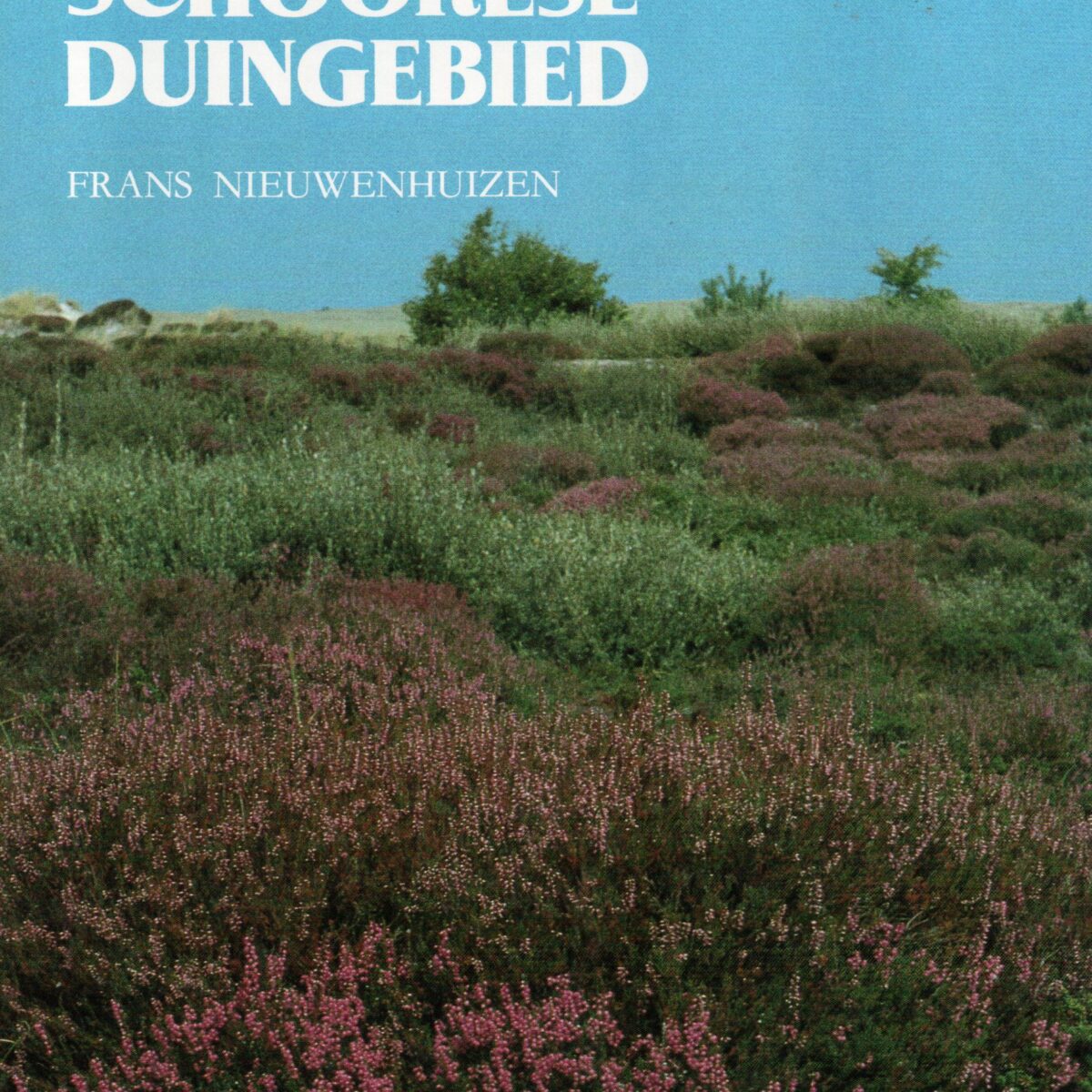 Natuurleven in het Schoorlse duingebied