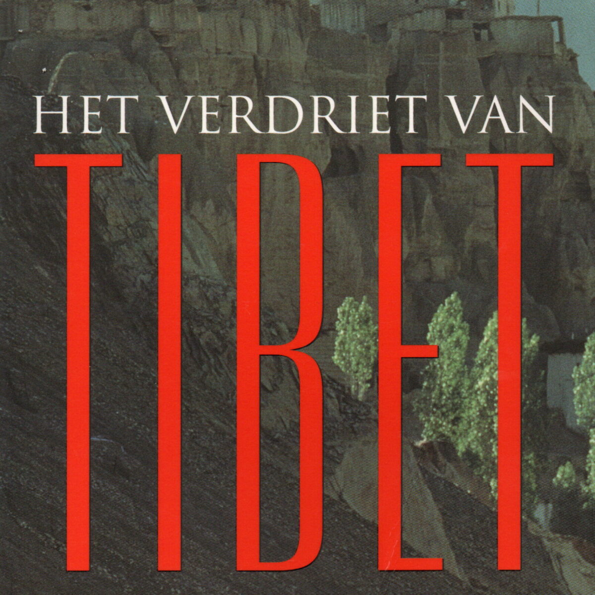 Het verdriet van Tibet - Twee Tibetaanse nonnen strijden voor de vrijheid van hun land -
