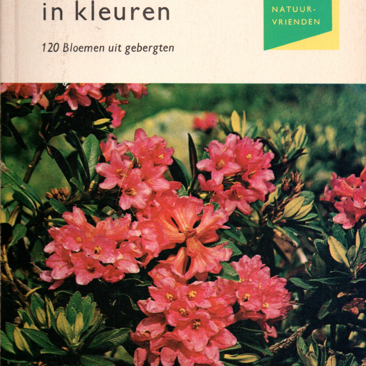 Alpenbloemen in kleuren - 120 Bloemen uit gebergten -