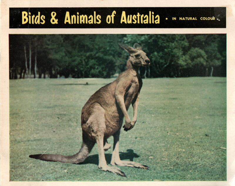 Birds & Animals of Australia - in natural colour -