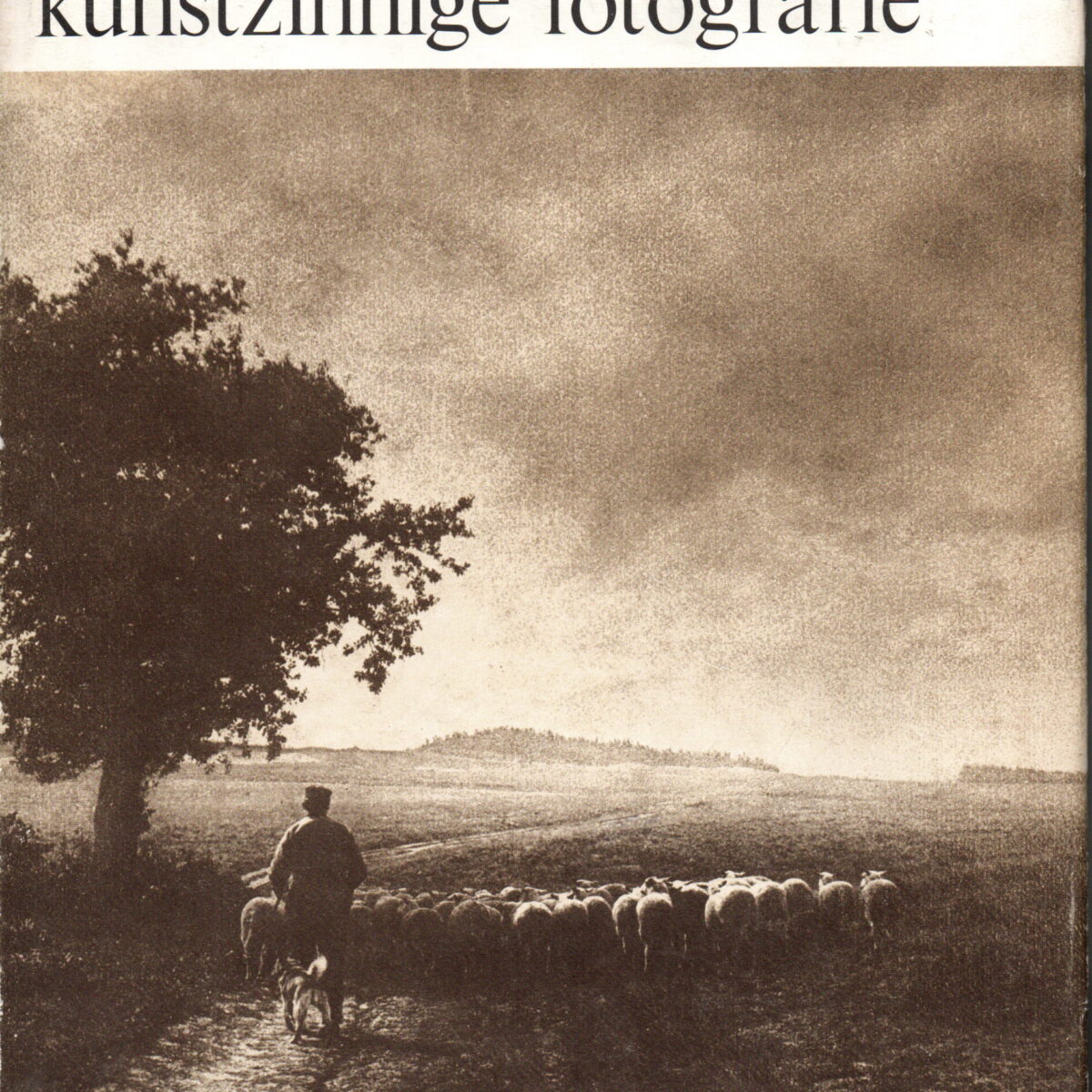 Adriaan Boer - pionier der kunstzinnige fotografie -