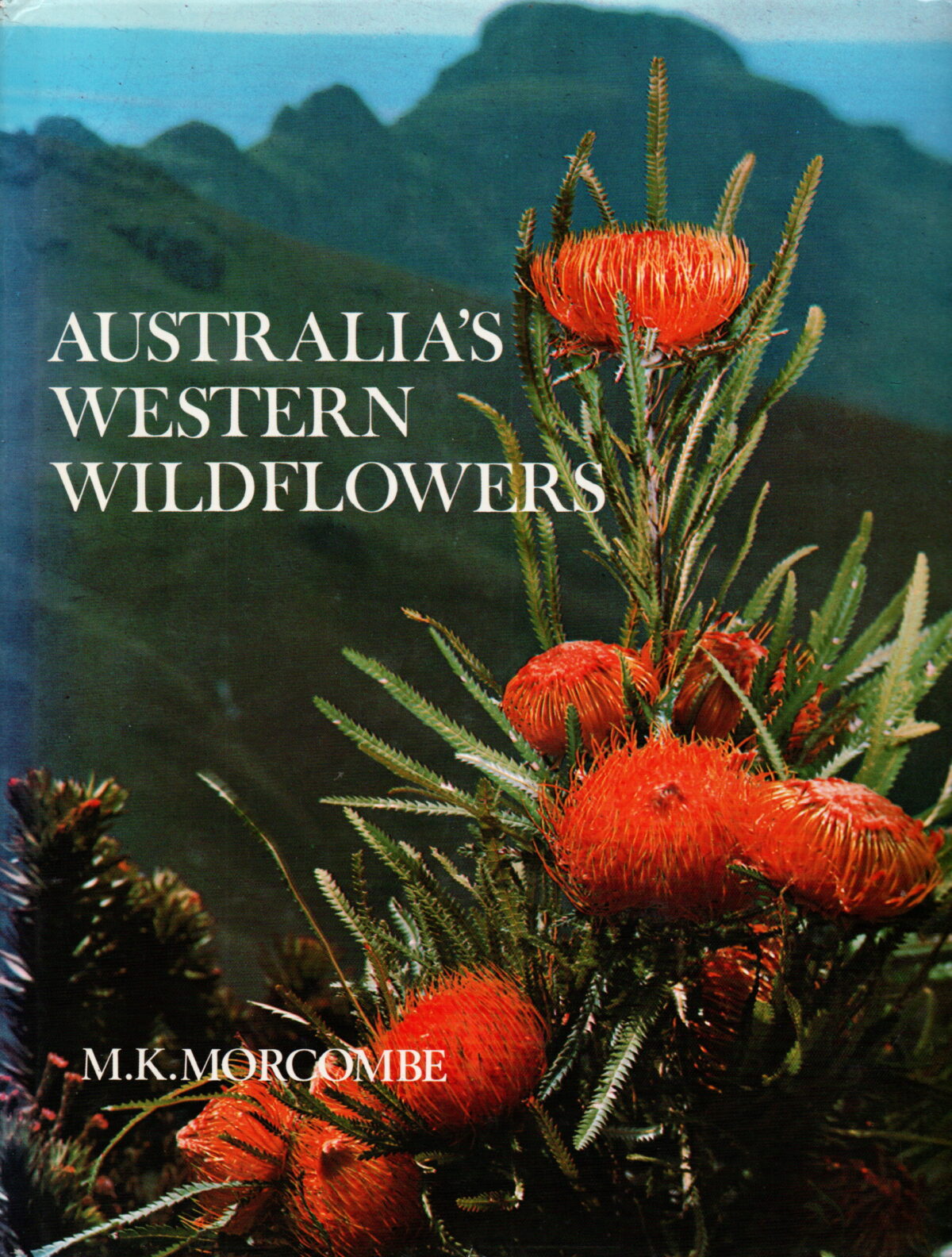 Australia's Western Wildflowers