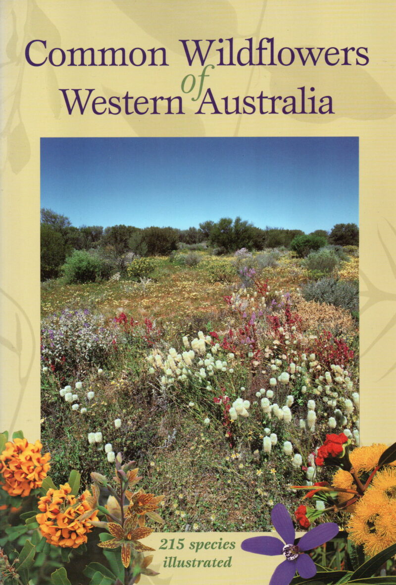 Common Wildflowers of Western Australia - 215 species illustrated -