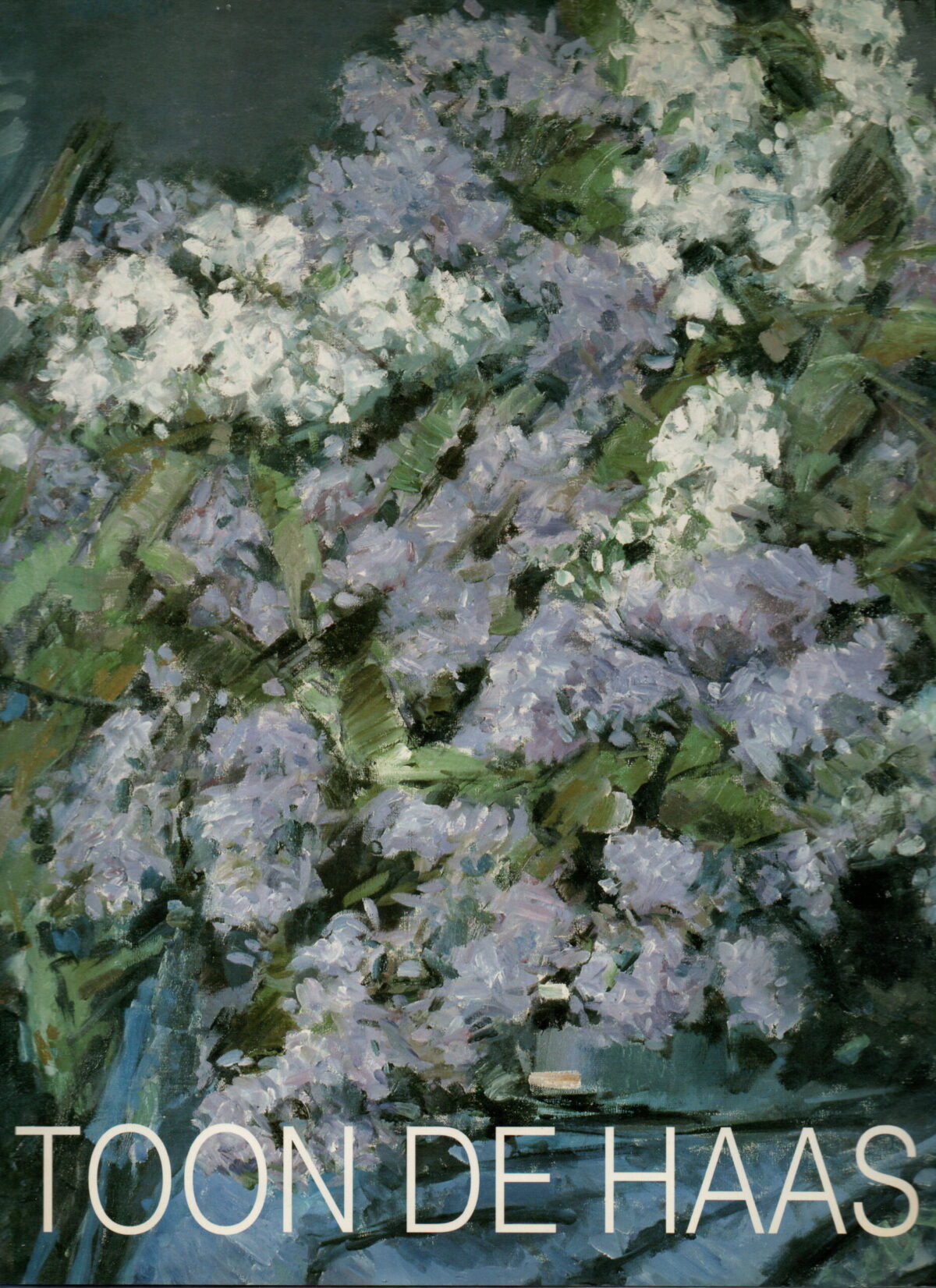 Toon de Haas - Schilder -