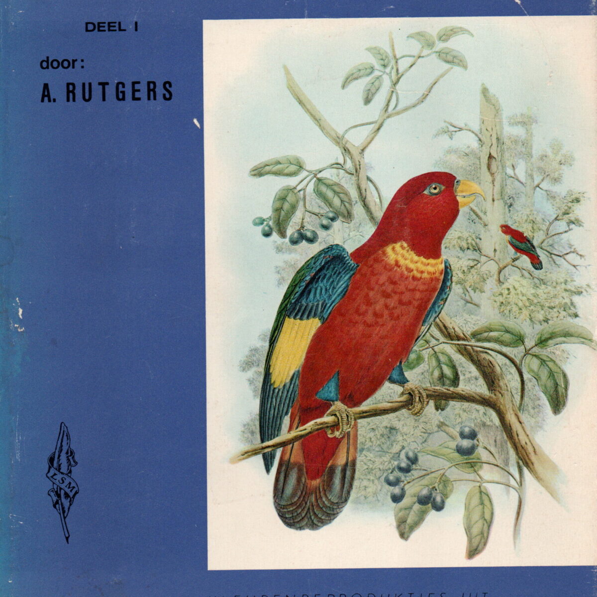 Vogels van Nieuw-Guinea - deel  1 -