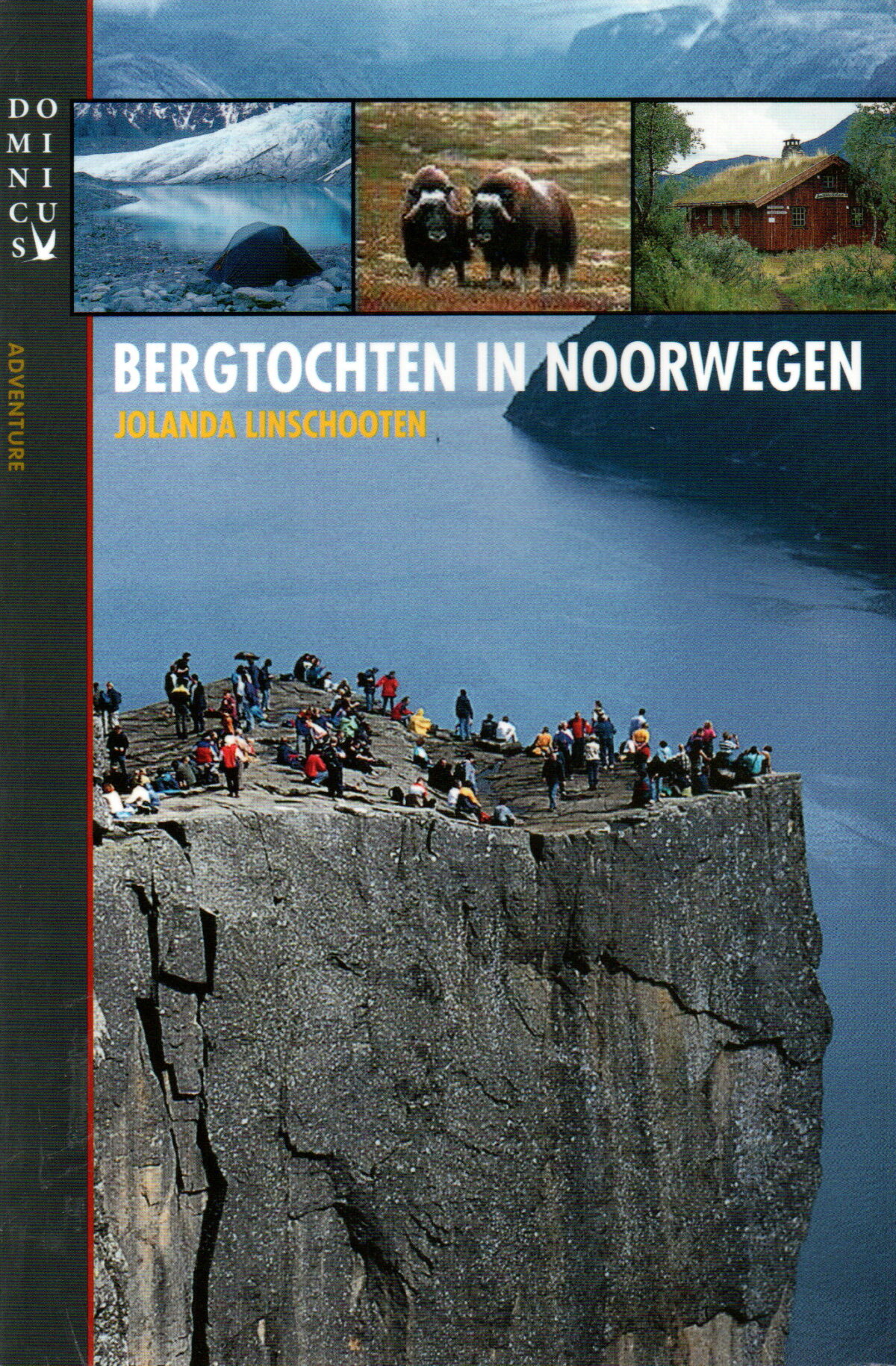 Bergtochten in Noorwegen