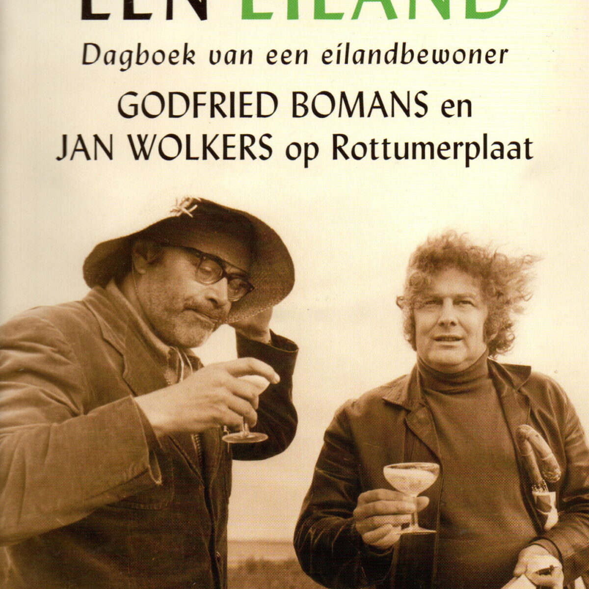 Alleen op een eiland - Dagboek van een eilandbewoner - LUISTERBOEK