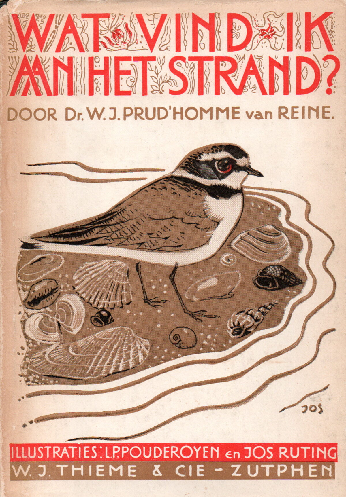 Wat vind ik aan het strand?