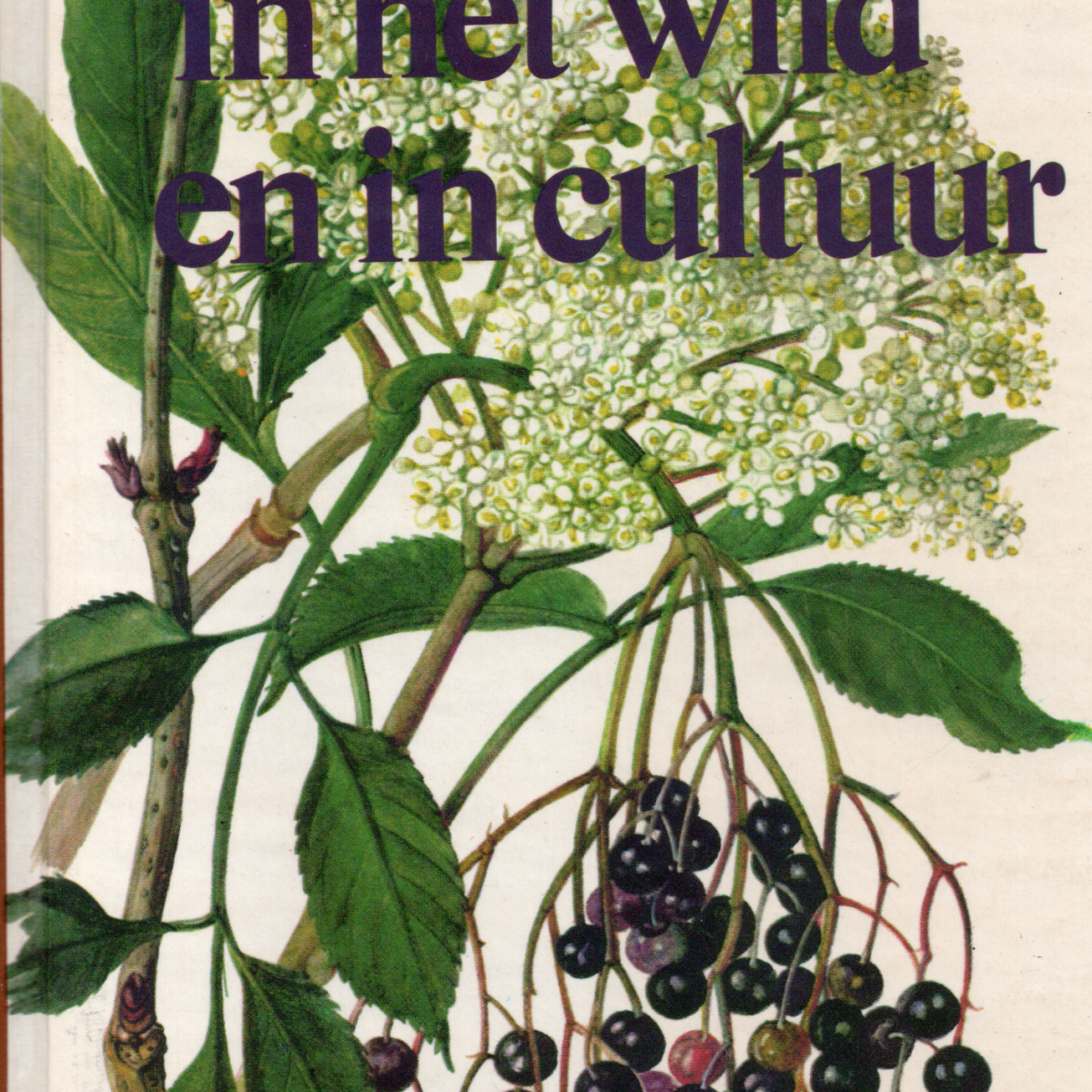 Struiken in het wild en in cultuur