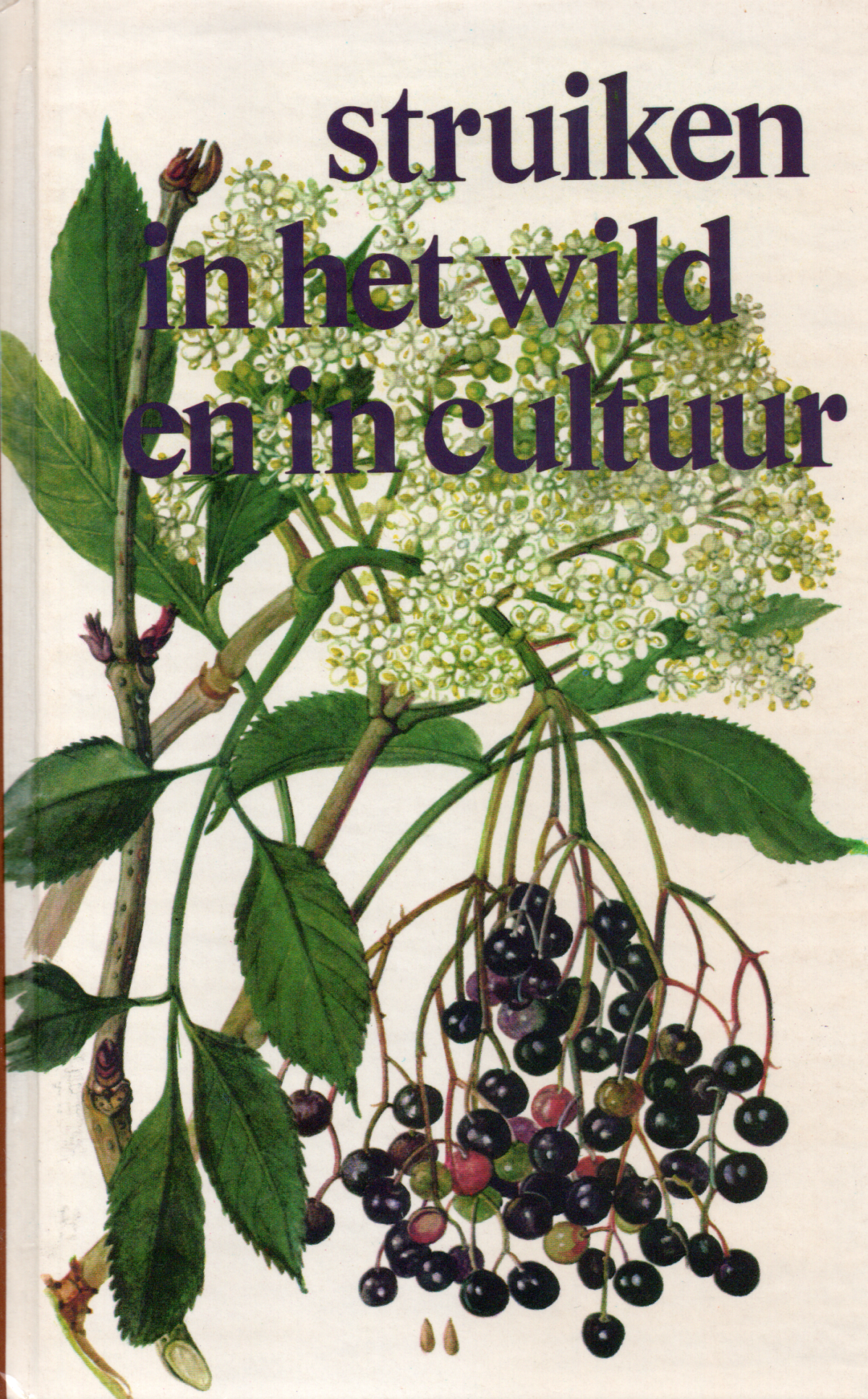 Struiken in het wild en in cultuur