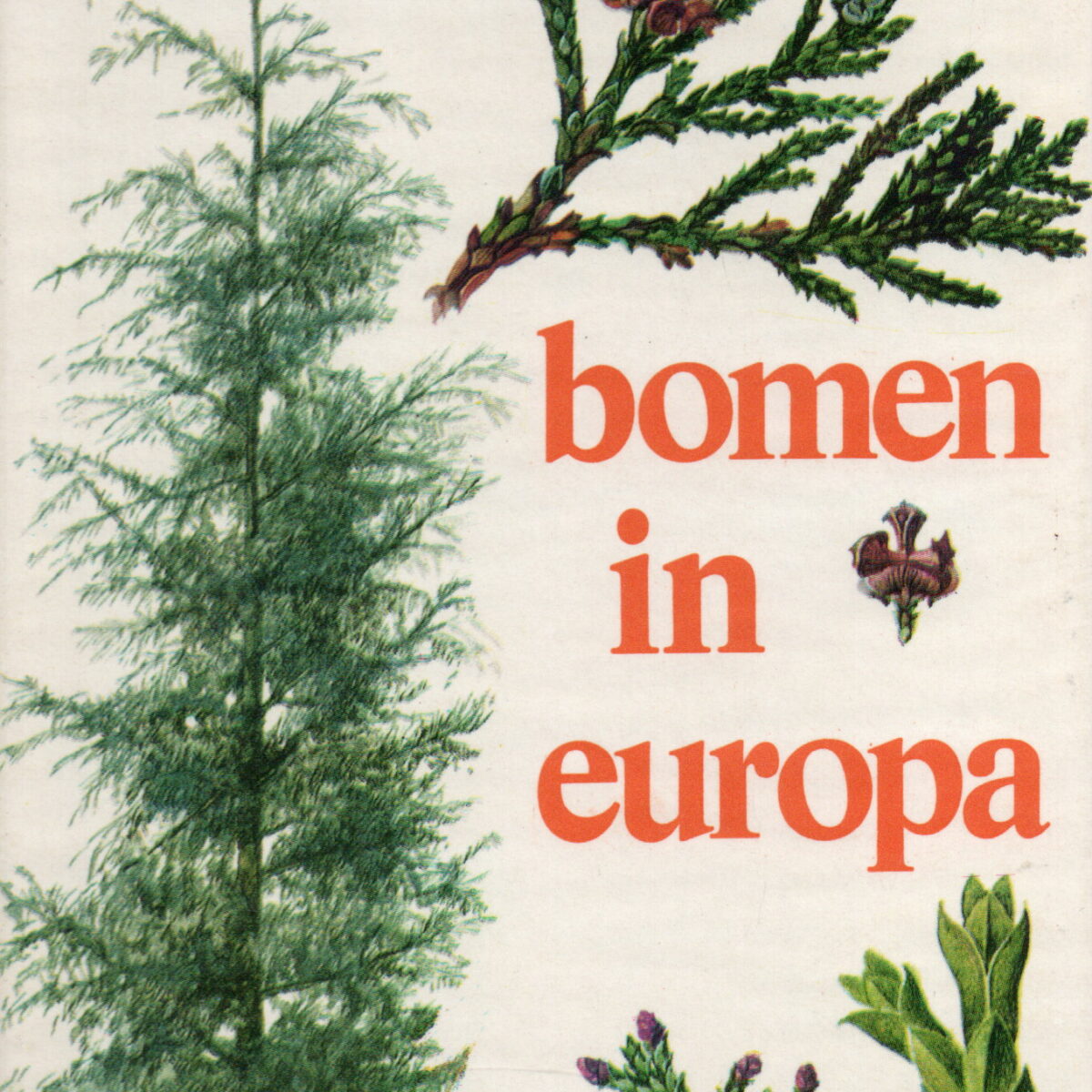 Bomen in Europa