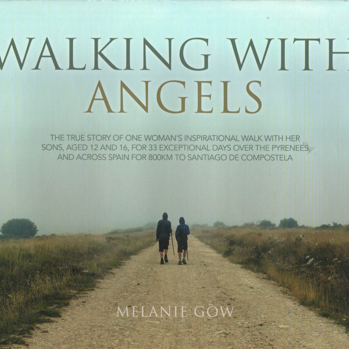 Walking with Angels