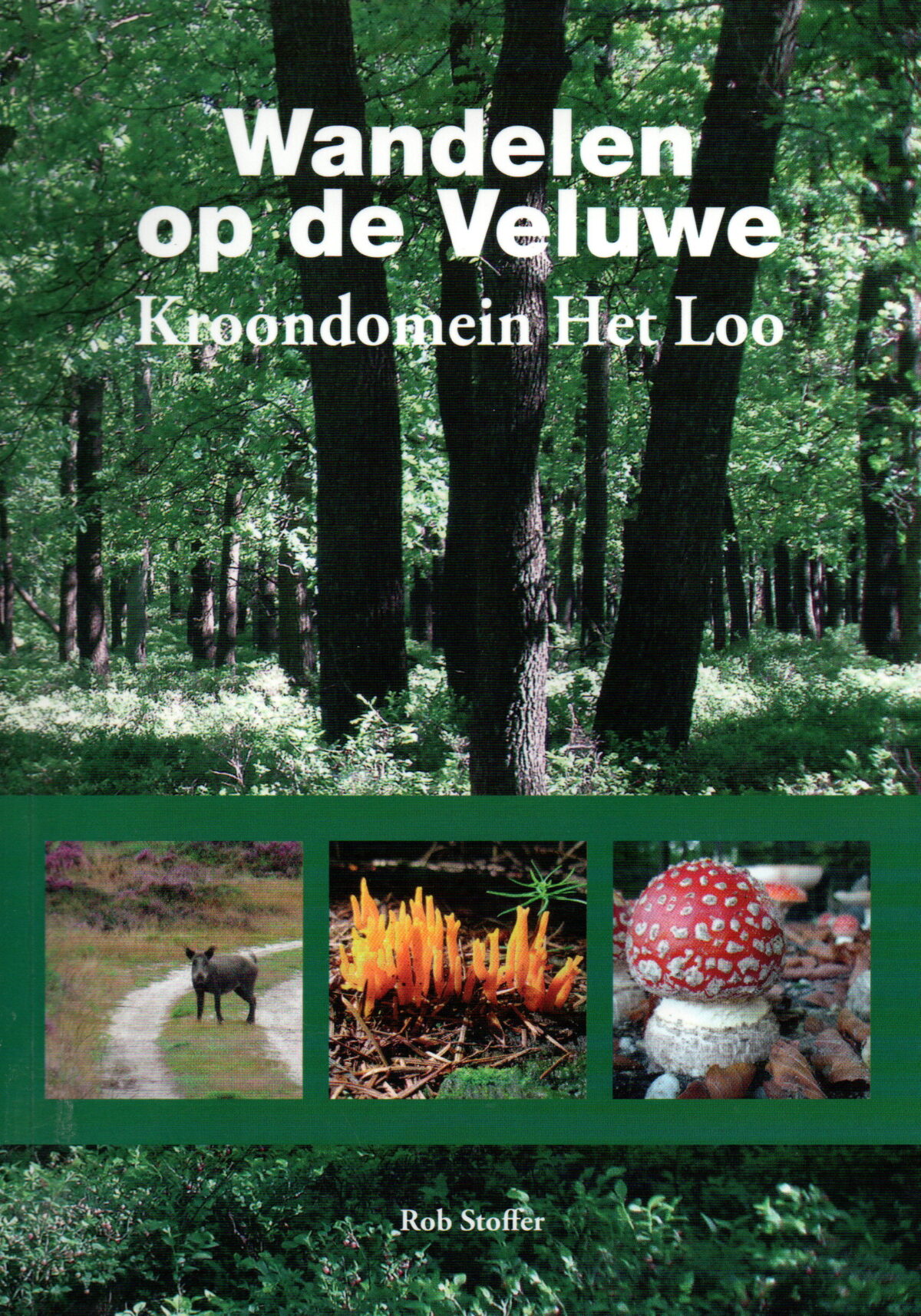 Wandelen op de Veluwe - Kroondomein Het Loo -