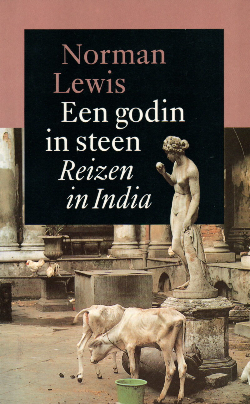 Godin in steen - Reizen in India -