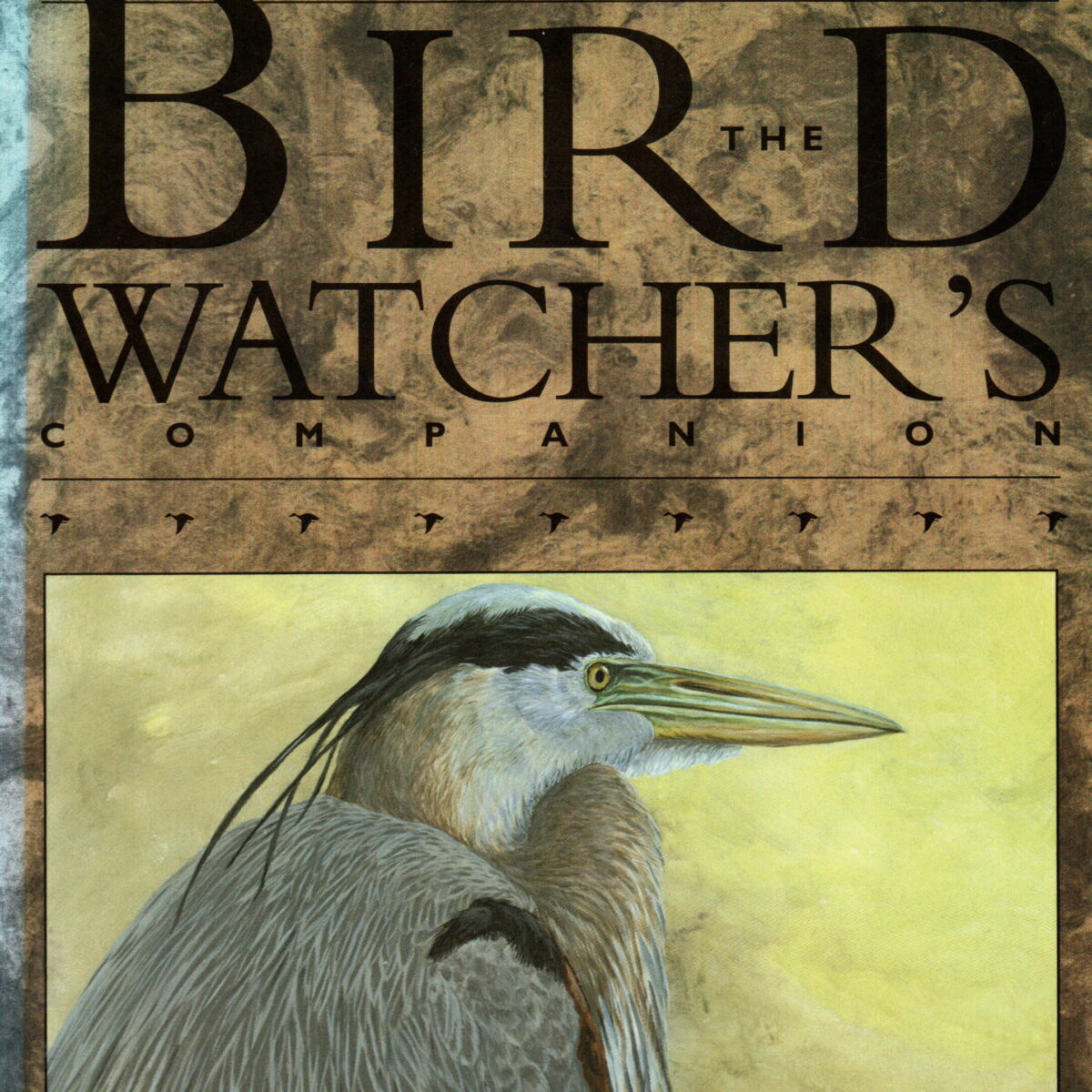 The Bird Watcher's Companion