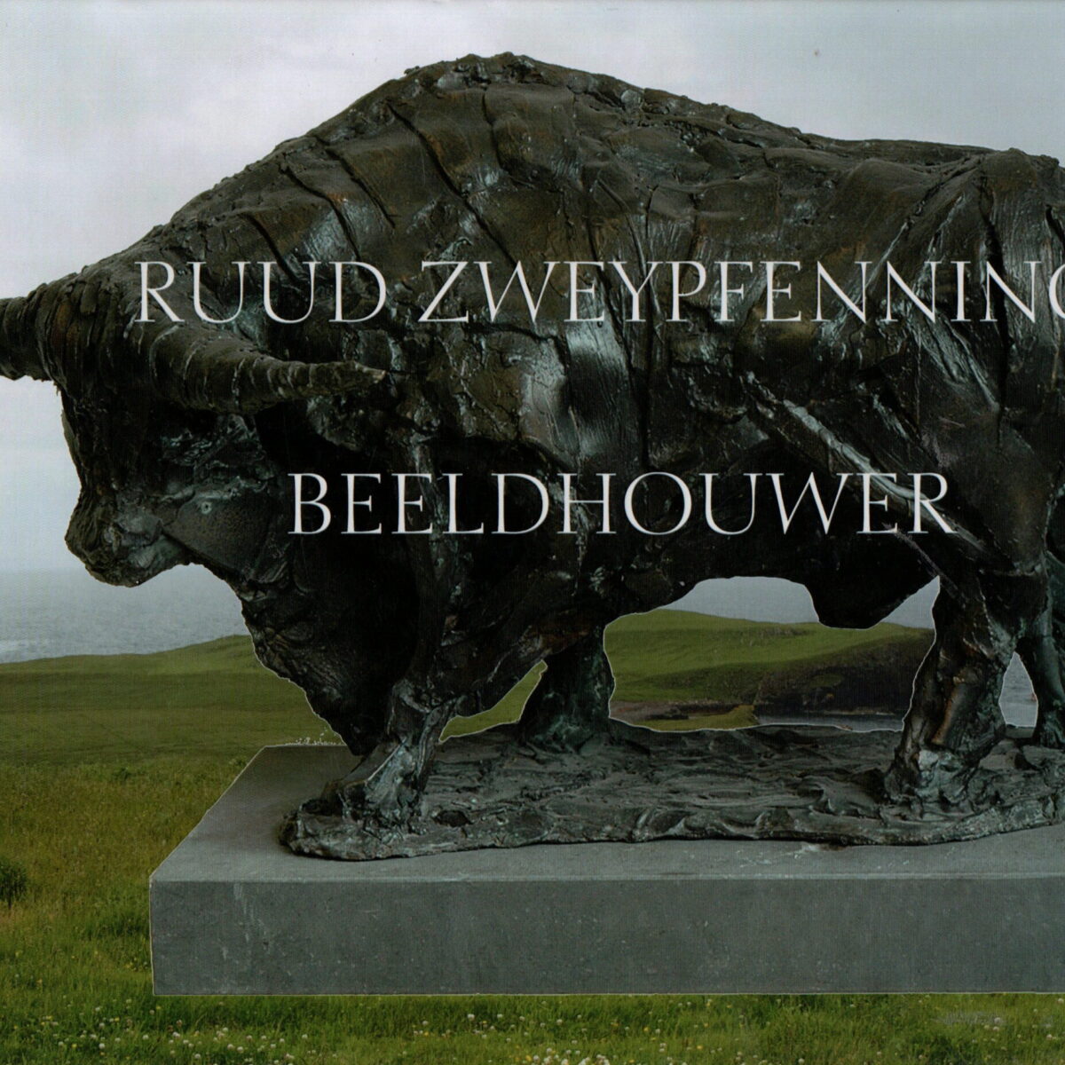 Ruud Zweypfenning - Beeldhouwer -