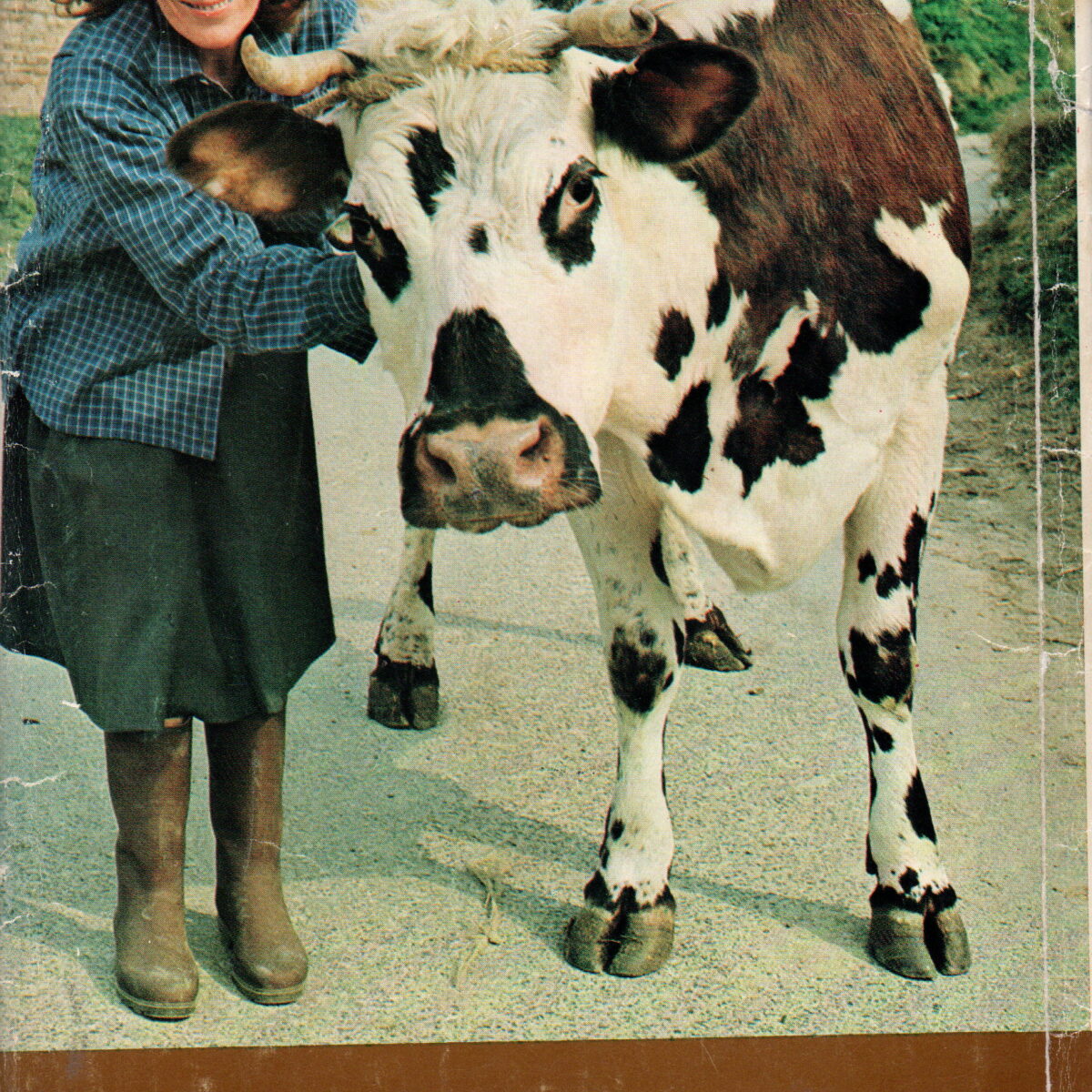 Boerin in Frankrijk – Omnibus van Land van zon en wijn / Volwassen mensen huilen niet / En de boer hij ploegde voort / Mijn vallei in Frankrijk –