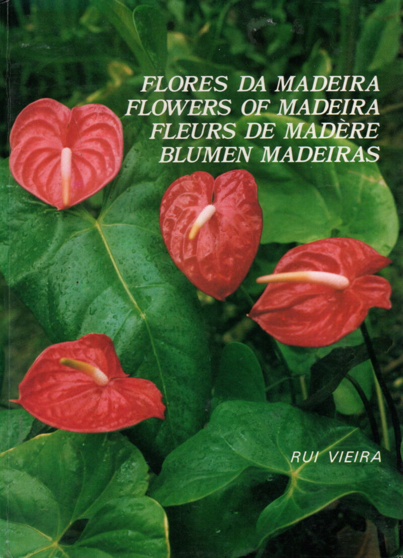 Flores Da Madeira / Flowers of Madeira / Fleurs de Madère / Blumen Madeiras