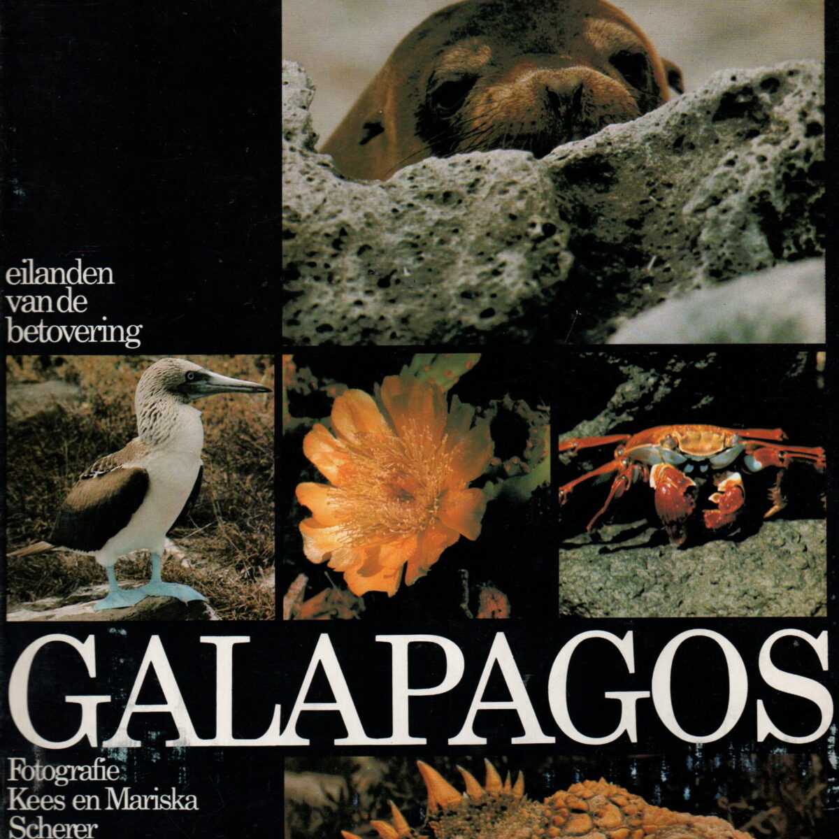 Galapagos - eilanden van de betovering -