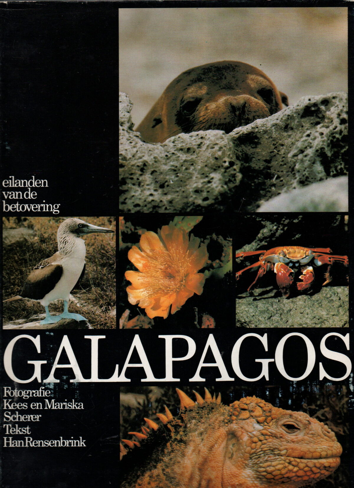 Galapagos - eilanden van de betovering -