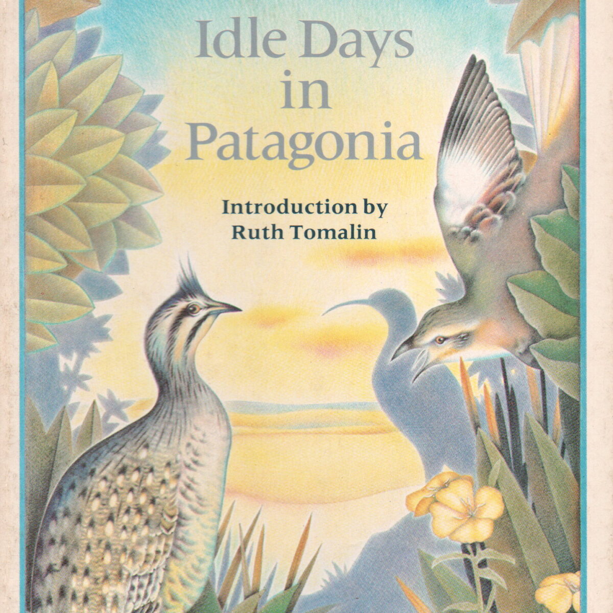 Idle Days in Patagonia