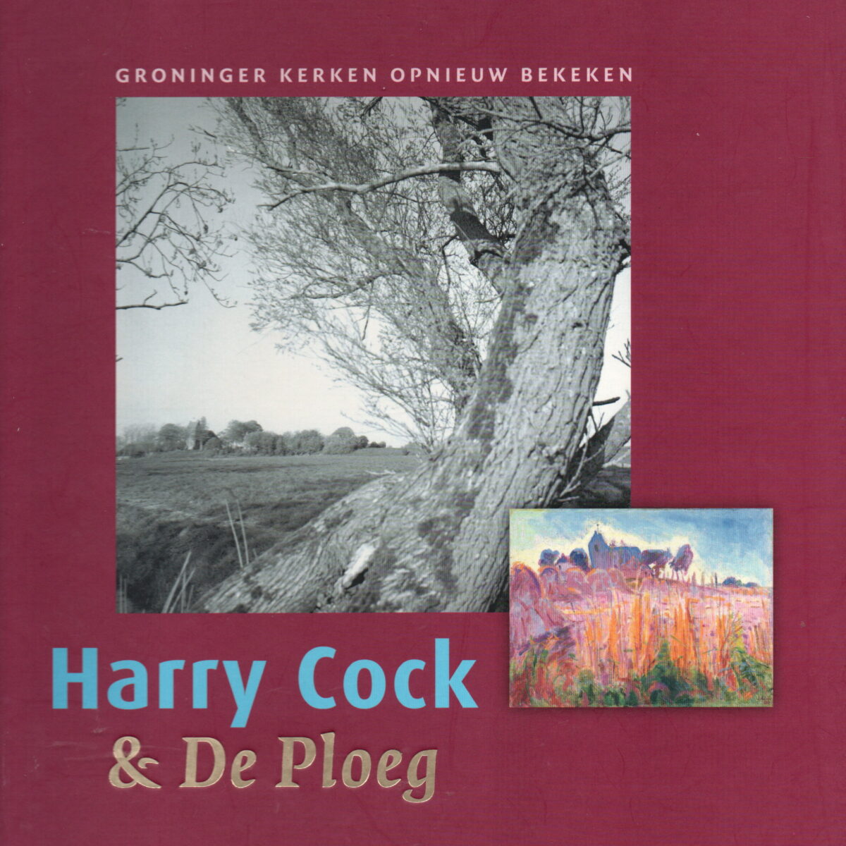 Harry Cock & De Ploeg - Groninger kerken opnieuw bekeken -