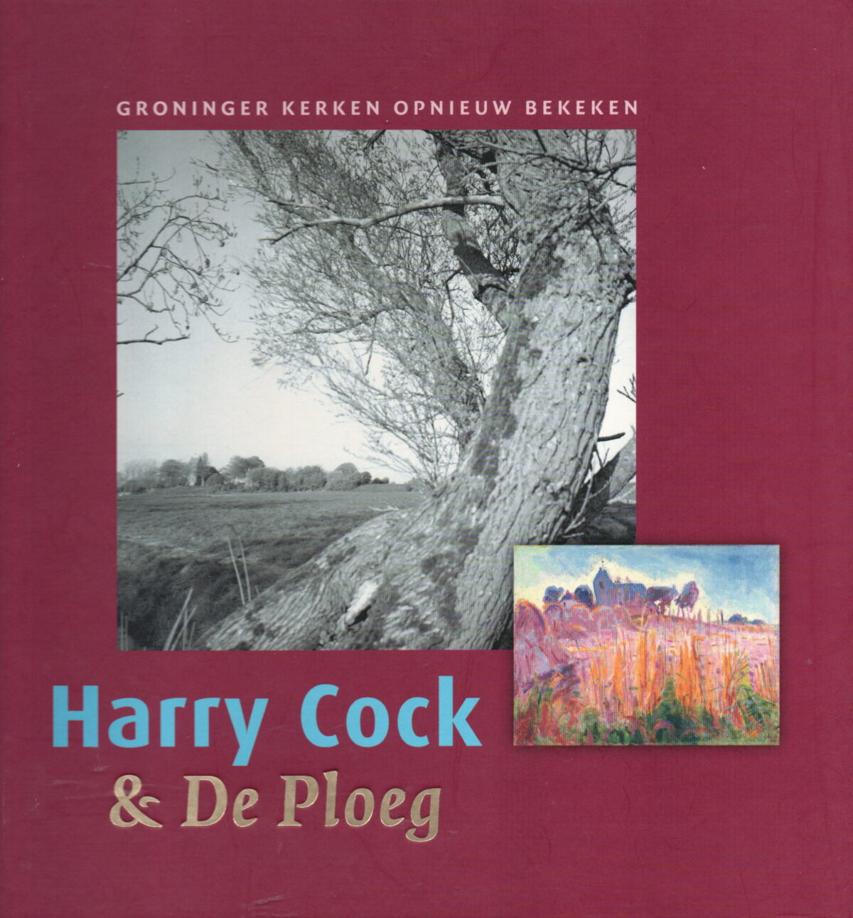 Harry Cock & De Ploeg - Groninger kerken opnieuw bekeken -