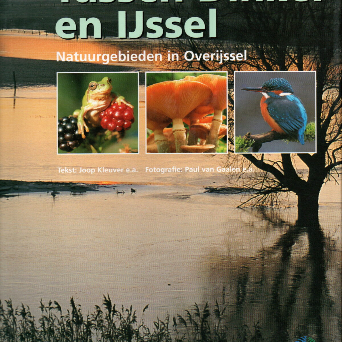 Tussen Dinkel en IJssel - Natuurgebieden in Overijssel -