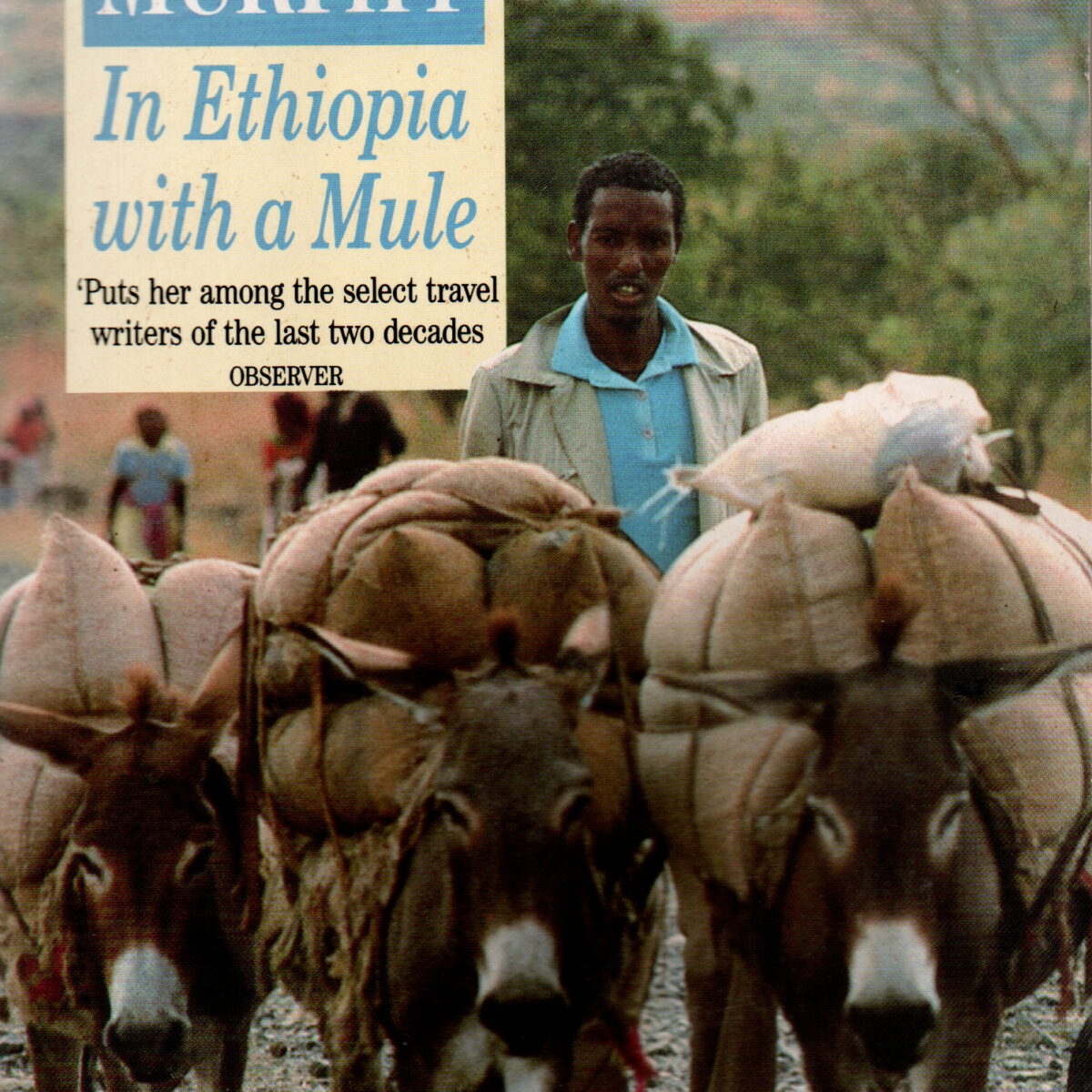 In Ethiopia with a Mule